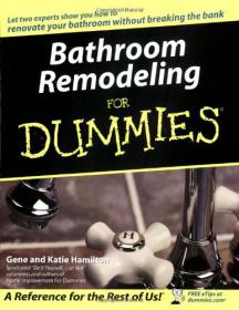Bathroom Remodeling For Dummies -Mantesh