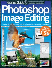 Photoshop Image Editing Genius Guide - The Expert Techniques Needed to Instantly Improve Your Images (Volume 1, Revised Edition)