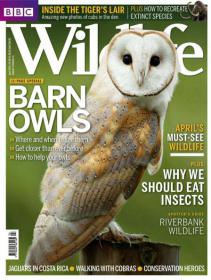 BBC Wildlife Magazine - Why We Should Eat Insects + Aprils Must-See Wildlife (April 2013)