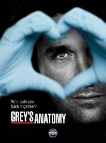 Grey's Anatomy S09E20 HDTV x264-LOL