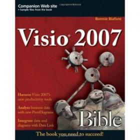 Visio 2007 Bible