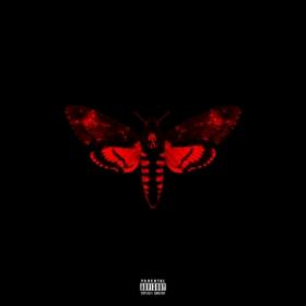 Lil Wayne I Am Not A Human Being II (2013) FLAC