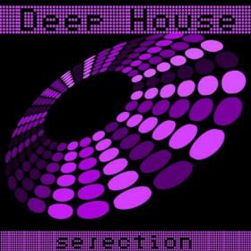 VA - Deep House Selection (2013)