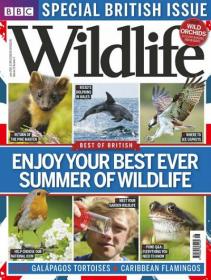 BBC Wildlife Magazine - Enjoy Your Best Ever Summer of WildLife (June 2013)