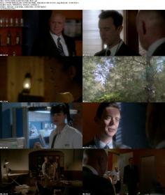 NCIS S10E24 HDTV XviD-AFG