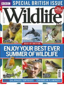 BBC Wildlife Magazine - Enjoy Your Best Ever Summer Of Wildlife (June 2013)