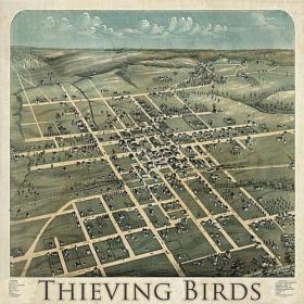 Thieving Birds - Thieving Birds 2011