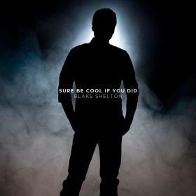 Blake Shelton - Sure Be Cool If You Did [Music Video] 720p [Sbyky]