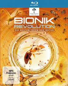 Bionik Revolution 2012 720p BluRay DTS x264-DON [PublicHD]