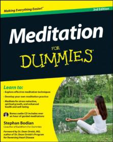 Meditation For Dummies -Mantesh