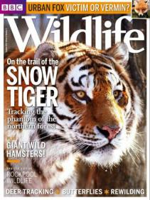 BBC Wildlife Magazine - On The Trail Of The Snow Tiger + Giant Wild Hamsters! (Summer 2013)