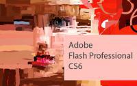 Adobe Flash Pro CS6 (2012)