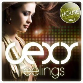 VA-Sexy Feelings Delicious House Clubbing Vol 3 (2013)