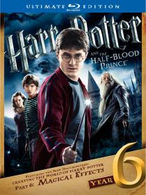 Harry Potter And The Half Blood Prince 2009 1080p BrRip x264 AAC 5.1  ã€ThumperDCã€‘