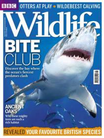 BBC Wildlife Magazine - The Bite Club - Discover the Bay Where the Ocean's Fiercest Predators Clash (August 2013)