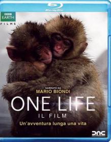 One Life Il Film 2012 iTALiAN BRRip XviD BLUWORLD