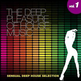 VA - The Deep Pleasure Of House Music Vol 1 (2013)