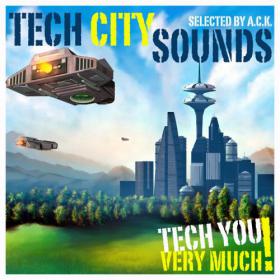 VA - Tech City Sounds Special Tech House Tracks (2013)