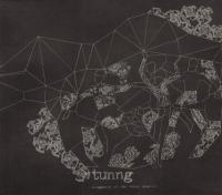 Tunng - 2006 -  Comments Of The Inner Chorus (Special Edition)