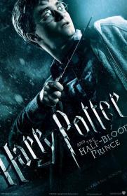 Harry Potter and the Half Blood Prince (2009) DVDRip XviD AC3 peaSoup