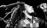 Bob Marley 24 Bit Vinyl Pack