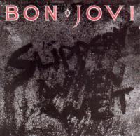 Bon Jovi - Slippery When Wet (1986) [24 bit FLAC] vinyl