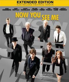 Now You See Me EXTENDED 2013 BRRip XviD AC3-SANTi