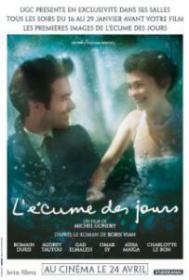 Mood Indigo 2013 1080p BluRay x264-LOST [PublicHD]