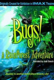 IMAX Bugs A Rainforest Adventure 2003 1080p BluRay x264-DON [PublicHD]
