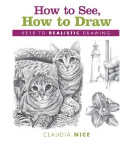 How to See, How to Draw Keys to Realistic Drawing Ebook