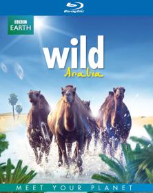 BBC Wild Arabia 2013 BluRay 1080p x264-HDL [PublicHD]