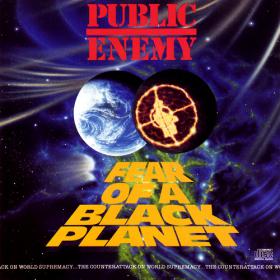 Public Enemy - Fear of a Black Planet 1990 [FLAC]