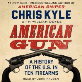 American Gun - A History of the U S  in Ten Firearms