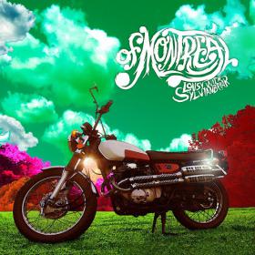 Of Montreal - Lousy With Sylvianbriar 2013 Indie 320kbps CBR MP3 [VX] [P2PDL]