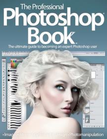 The Professional Photoshop Book - The Ultimate Guide To Becoming An Expert Photoshop User (Volume 01, 2013)