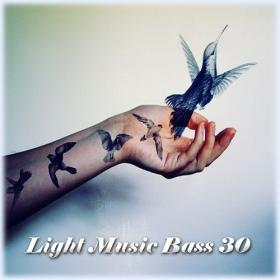 Light Music Bass 30