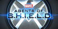 Marvel's Agents of S.H.I.E.L.D. S01E02 720p HDTV X264-DIMENSION [eztv]