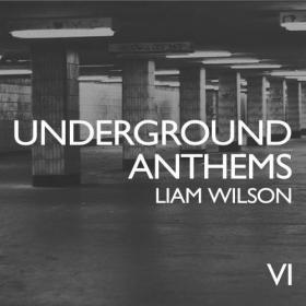 VA-Underground_Anthems_6_(Mixed_By_Liam_Wilson)-FDELUXUA06-WEB-2013-JUSTiFY