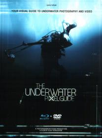 The Underwater Pixelguide 2012 720p BluRay x264-DON [PublicHD]