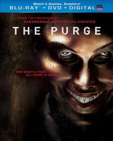 The Purge (DeMonaco, 2013) [BDRip720p Ita-Eng]