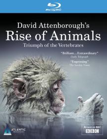 David Attenboroughs Rise Of Animals 2013 1080p BluRay x264-SHORTBREHD [PublicHD]