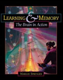 Learning and Memory The Brain in Action the five memory lanes semantic, episodic, procedural, automatic, and emotional