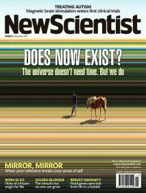 New Scientist - DOES NOT EXIST !- The Universe Doesn't Need Time  But We Do (HQ pdf) (2 November 2013)