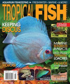 Tropical Fish Hobbyist - December 2013