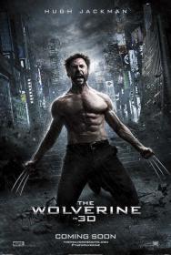 The Wolverine Extended 2013 BRRip XviD AC3-BTRG