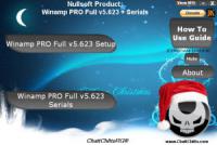 Winamp PRO Full v5.623 + Serials