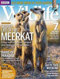 BBC Wildlife - Secret Life of the Meerkat+Birds of Paradise+Get More Birds in Your garden (December 2013)