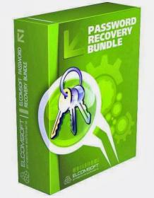 Password Recovery Bundle 2013 v3.0 Enterprise Edition Incl Activator [KaranPC]