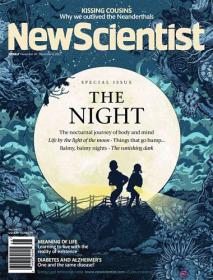 New Scientist - The Night (30 November 2013)