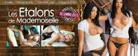 Les Etalons de Mademoiselle (Marc Dorcel) HD 1080p NEW (2013)